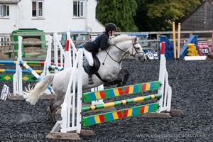 Class 7 - Fences 3' to 3'3